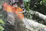 Бензопила Husqvarna 365