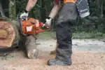 Бензопила Husqvarna 365